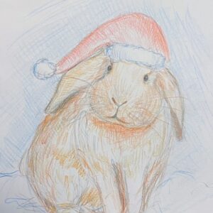 christmas bunny